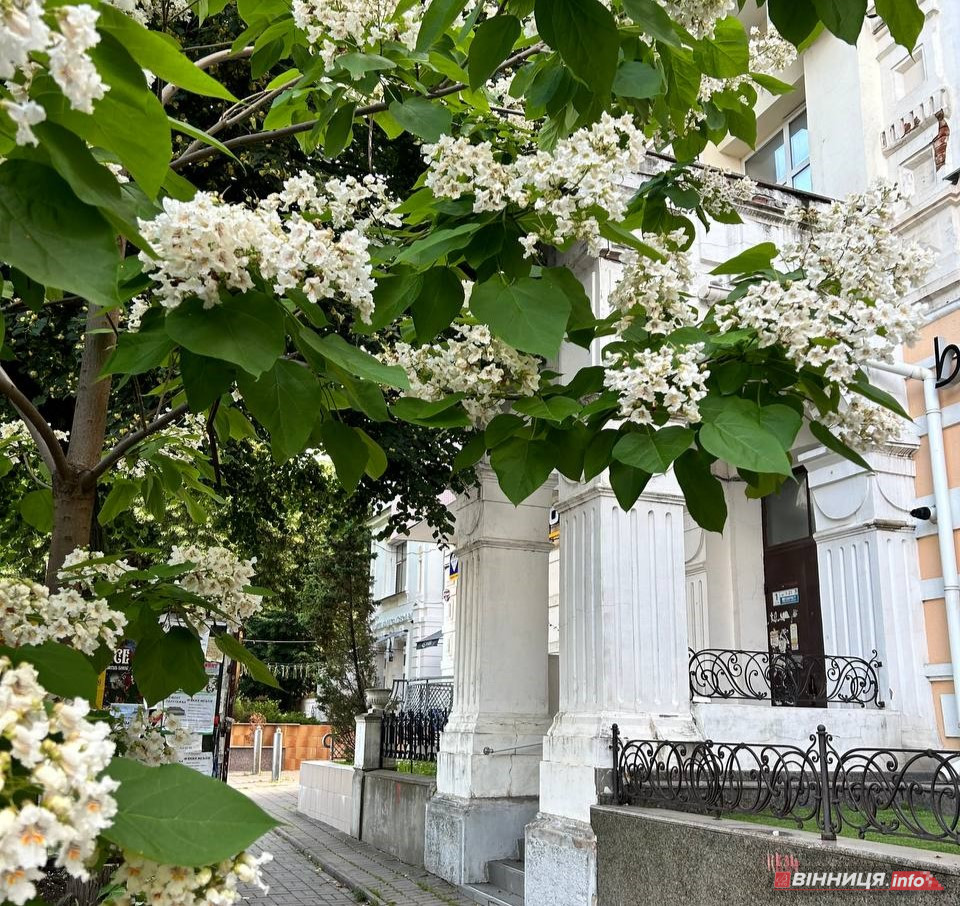 Вінниця: історія міста, вулиць, цікаві факти та легенди