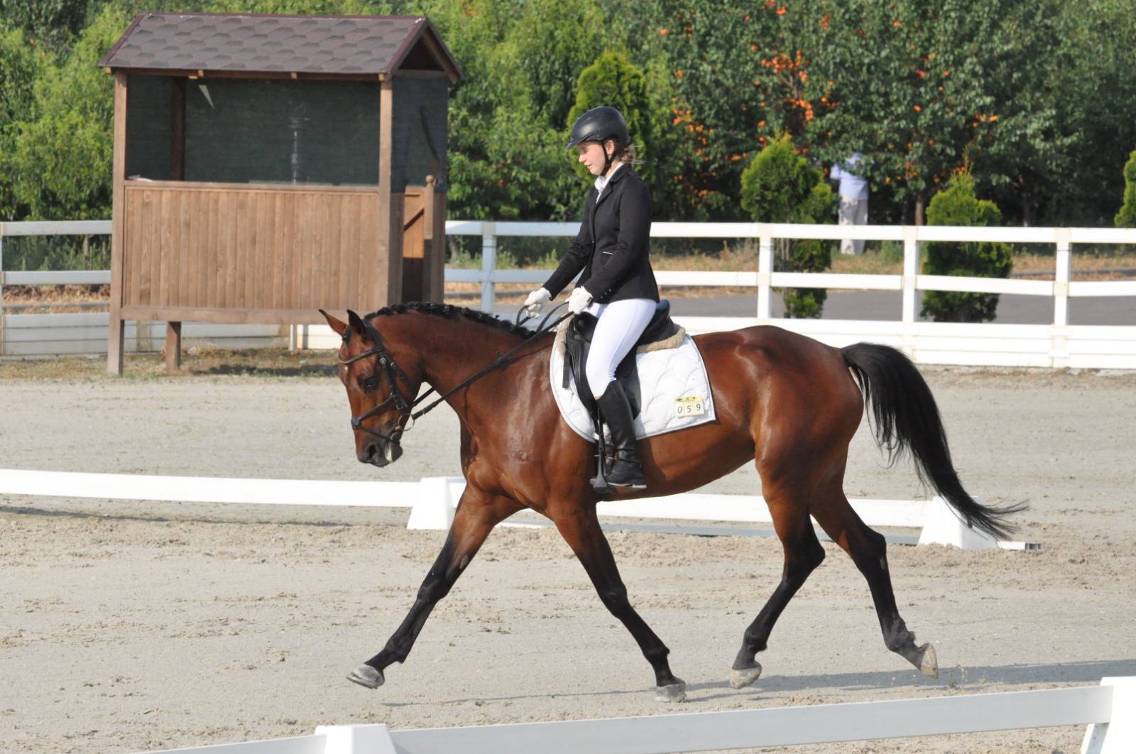 Черкащани вибороли «золоті» медалі у змаганнях з кінного спорту
