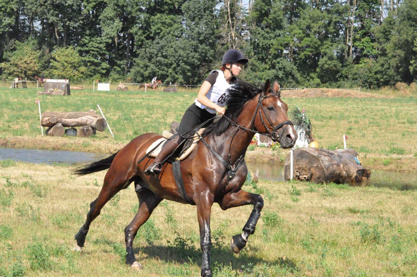 Черкащани вибороли «золоті» медалі у змаганнях з кінного спорту - фото 2