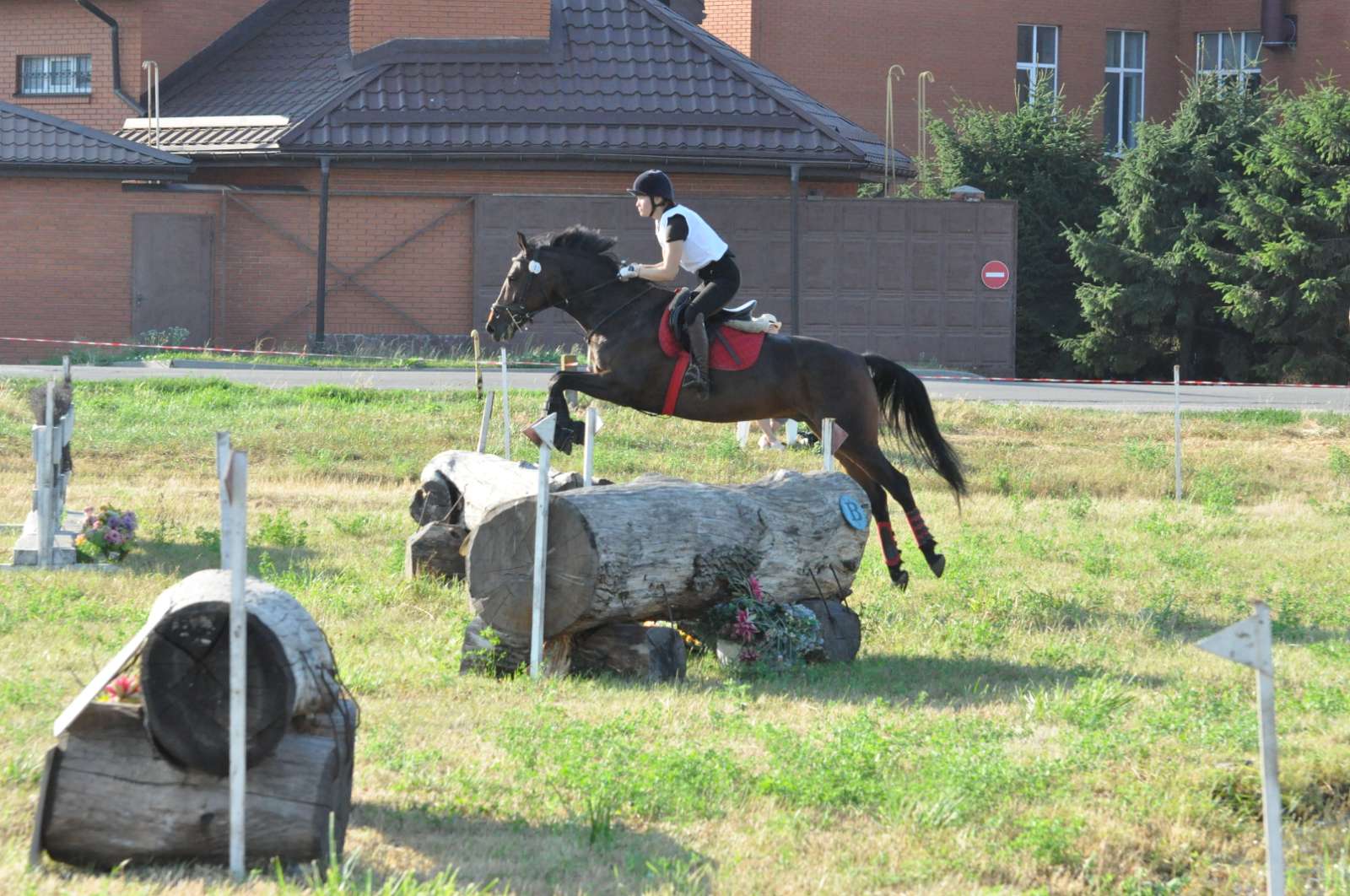 Черкащани вибороли «золоті» медалі у змаганнях з кінного спорту - фото 3