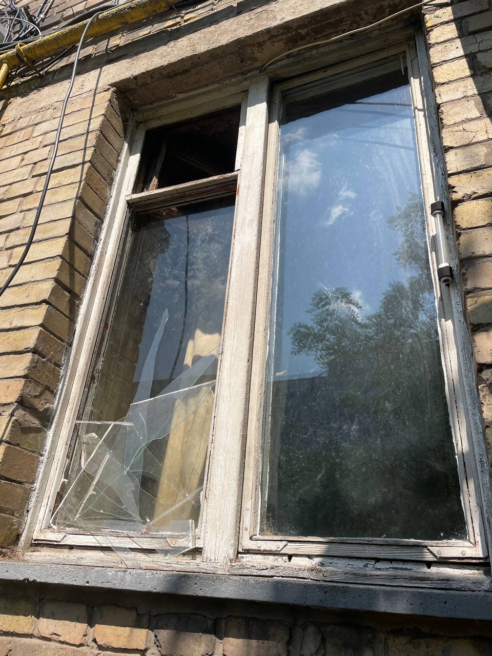 Зоозахисники в Києві врятували двох собак від голодної смерті