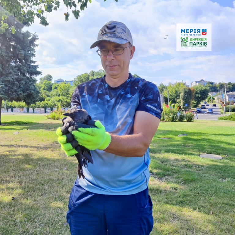 В черкаській Долині троянд працівники «Дирекції парків» врятували птаха - фото 3