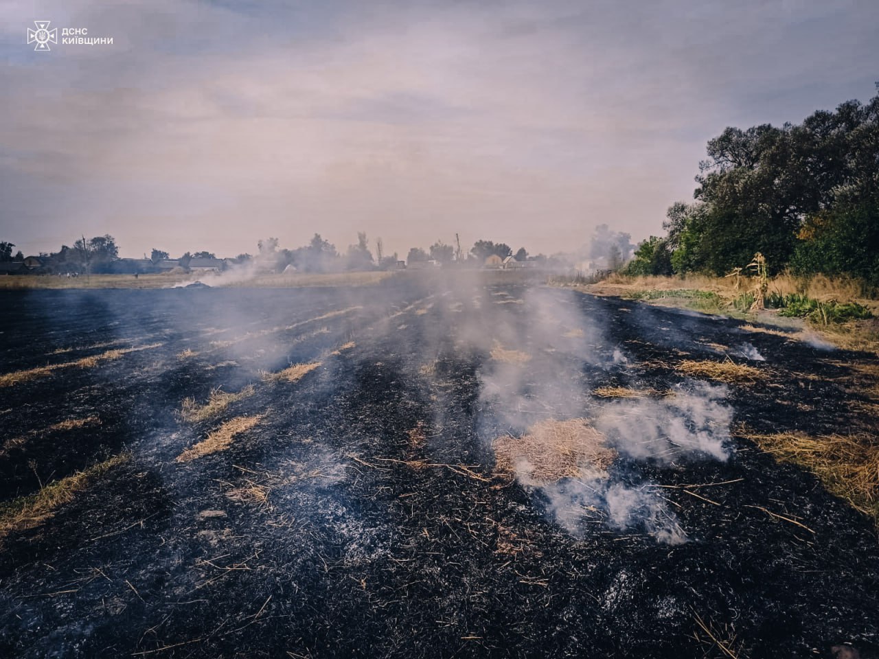 Палила траву: під час пожежі на Київщині виявили тіло бабусі - фото 2