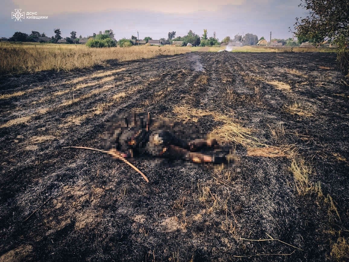 На Київщині під час випалювання сухостою загинула жінка