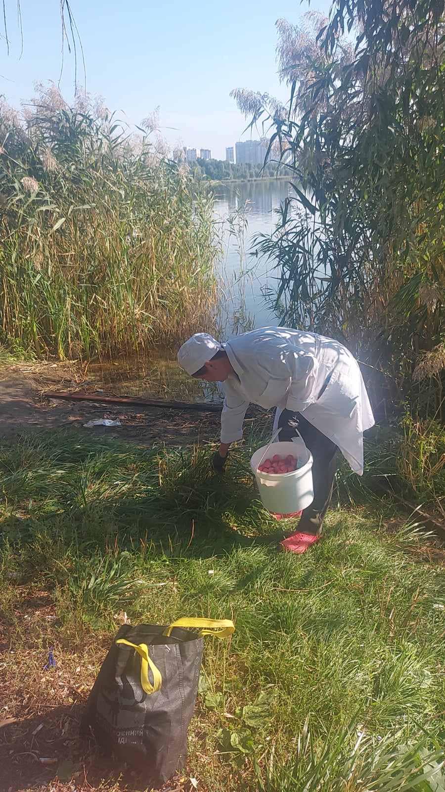 В Києві біля озер труять гризунів