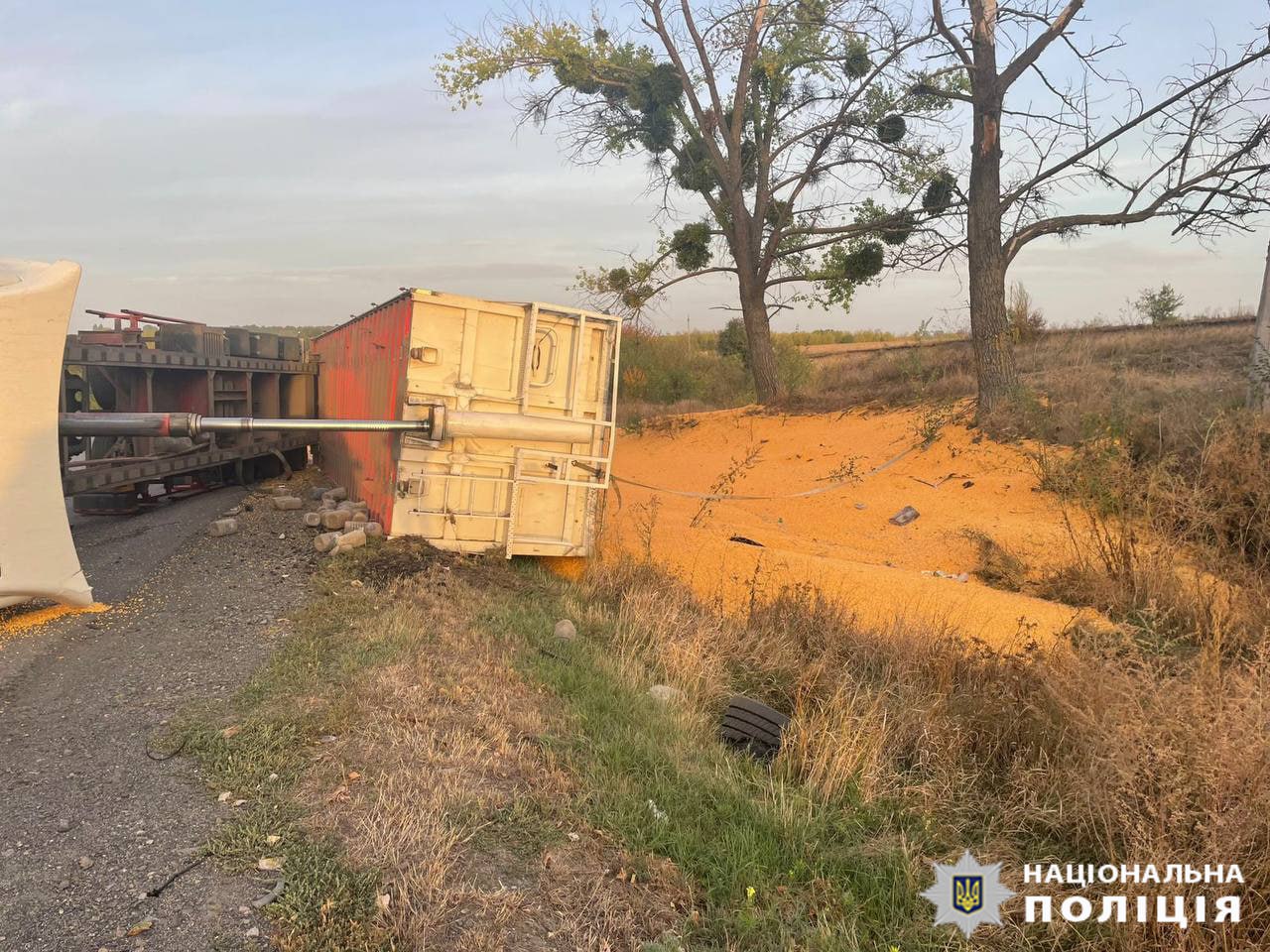 У Черкаській області перекинулася вантажівка із зерном - фото 2