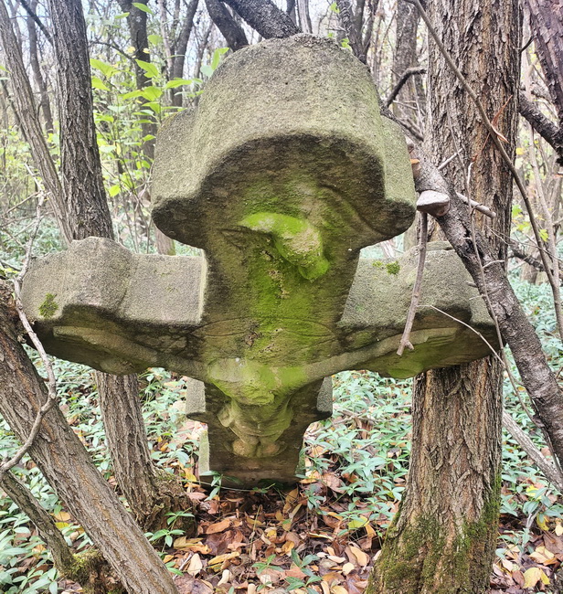 Закинута каплиця та могила відьми: таємниці цвинтаря на Вінниччині - фото 3