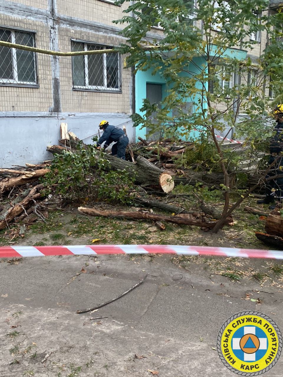 Через сильний вітер в Києві дерево впало на багатоповерхівку - фото 3