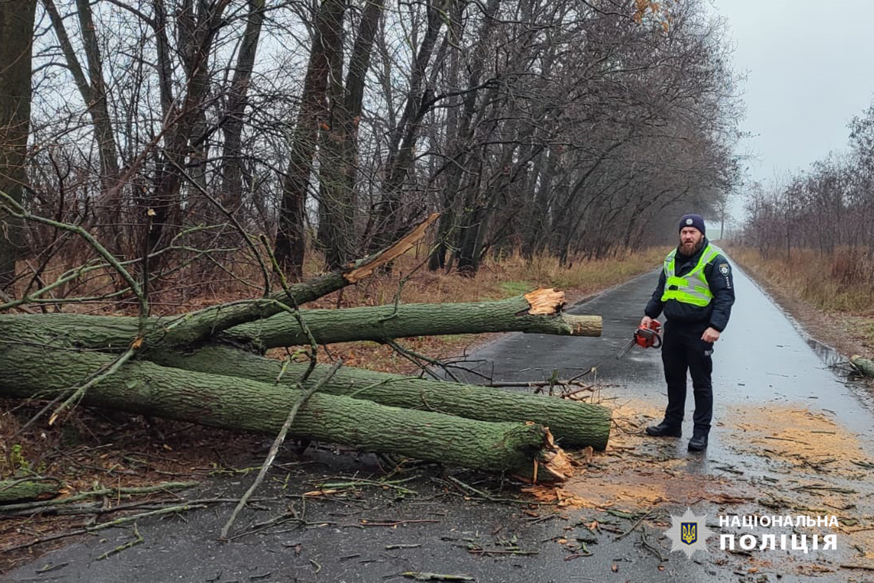 На Черкащині дерево заблокувало рух транспорту