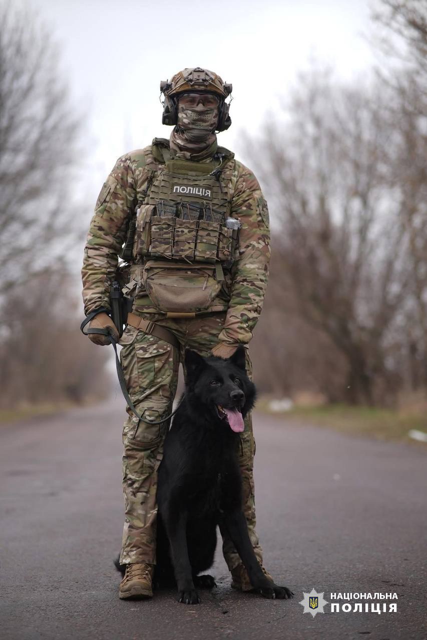 Евакуйовані з фронту тварини у черкаському притулку чекають на нові родини - фото 4