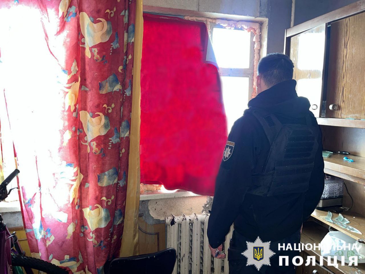 На Київщині внаслідок російської атаки є постраждалий, також загинули 40 свійських тварин - фото 2