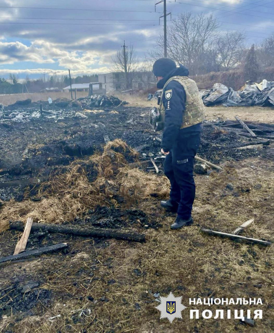 На Київщині внаслідок російської атаки є постраждалий, також загинули 40 свійських тварин