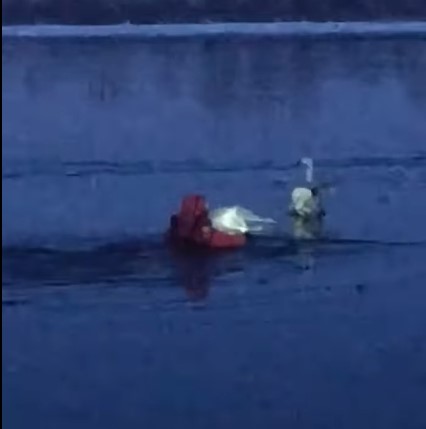 У Києві рятувальник провалився у воду, допомагаючи травмованому лебедю