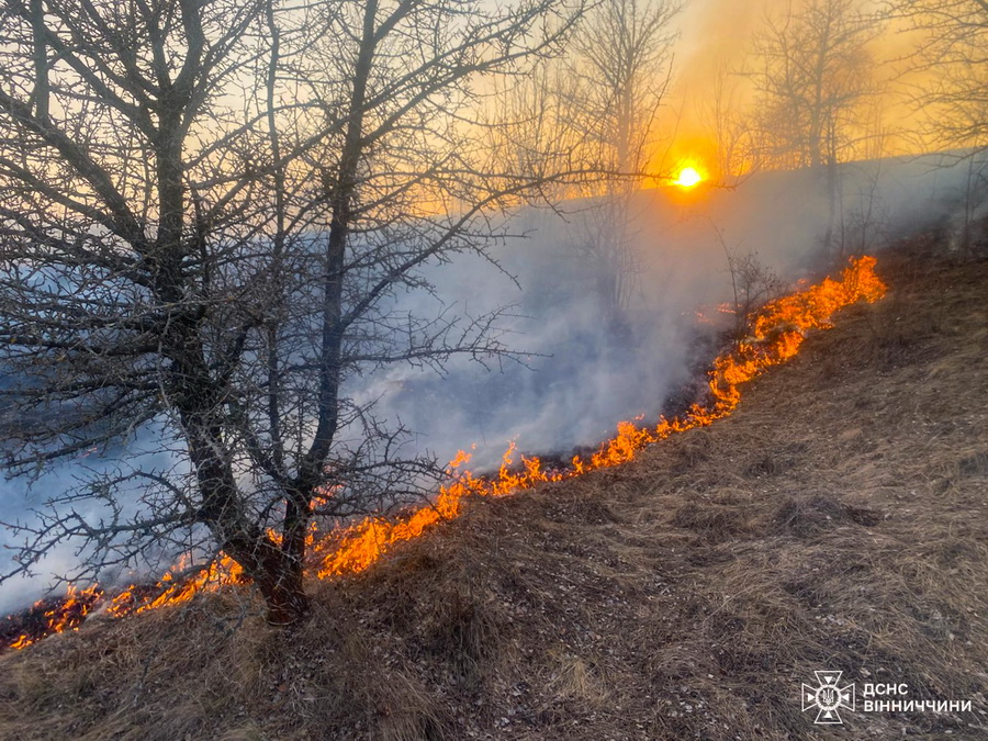 На Вінниччині сталось 67 пожеж в екосистемах, у Горбівці вогонь перекинувся на хату - фото 4