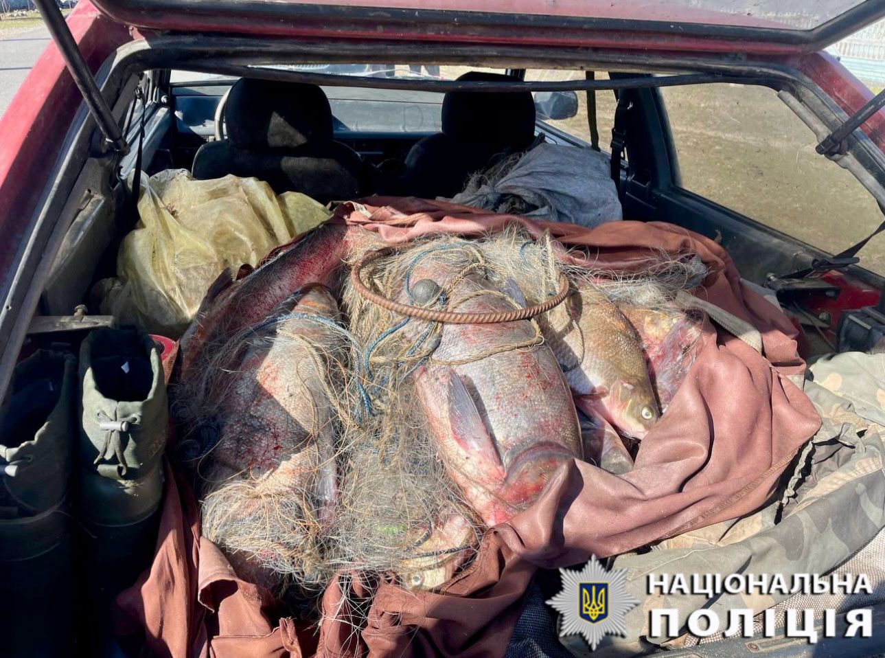 На Київщині чоловік наловив риби і раків на 900 тисяч гривень