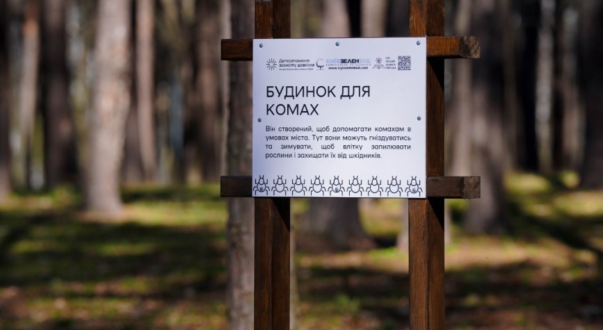 У Києві розмістили будиночки для комах