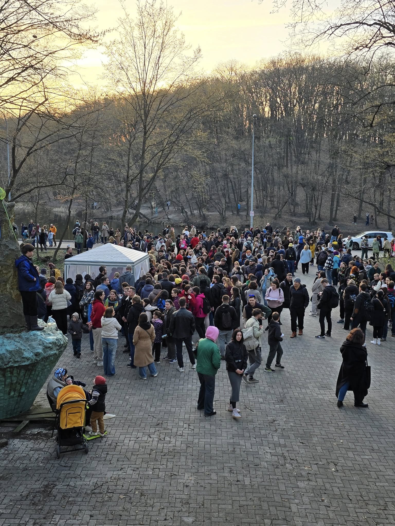 У Києві на свободу випустили понад 600 реабілітованих кажанів - фото 4