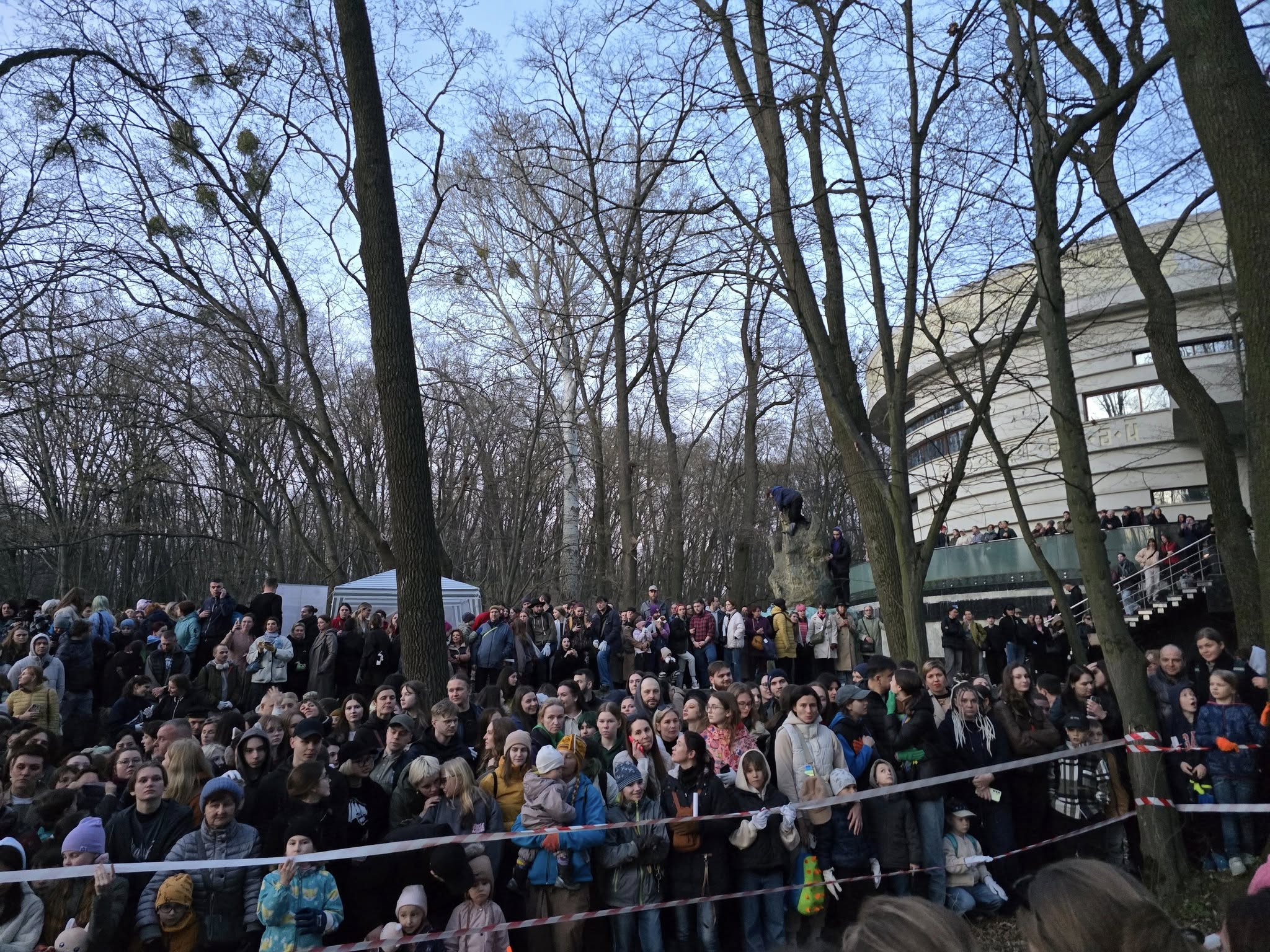 У Києві на свободу випустили понад 600 реабілітованих кажанів - фото 5