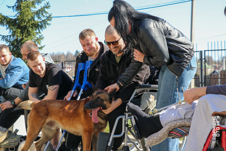 Альфа та Кай службові собаки вінницьких гвардійців з пораненими воїнами