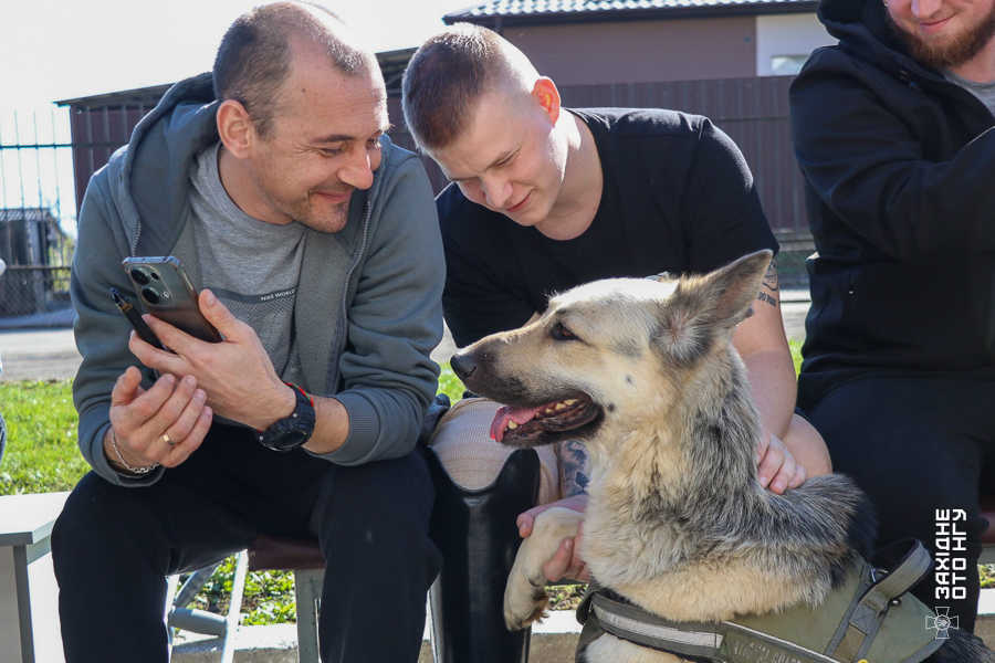 Альфа та Кай службові собаки вінницьких гвардійців з пораненими воїнами - фото 2