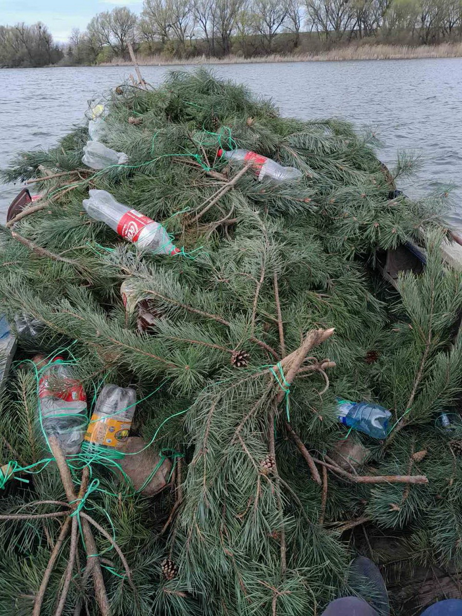 На водоймах Вінниччини облаштували гнізда для нересту риби