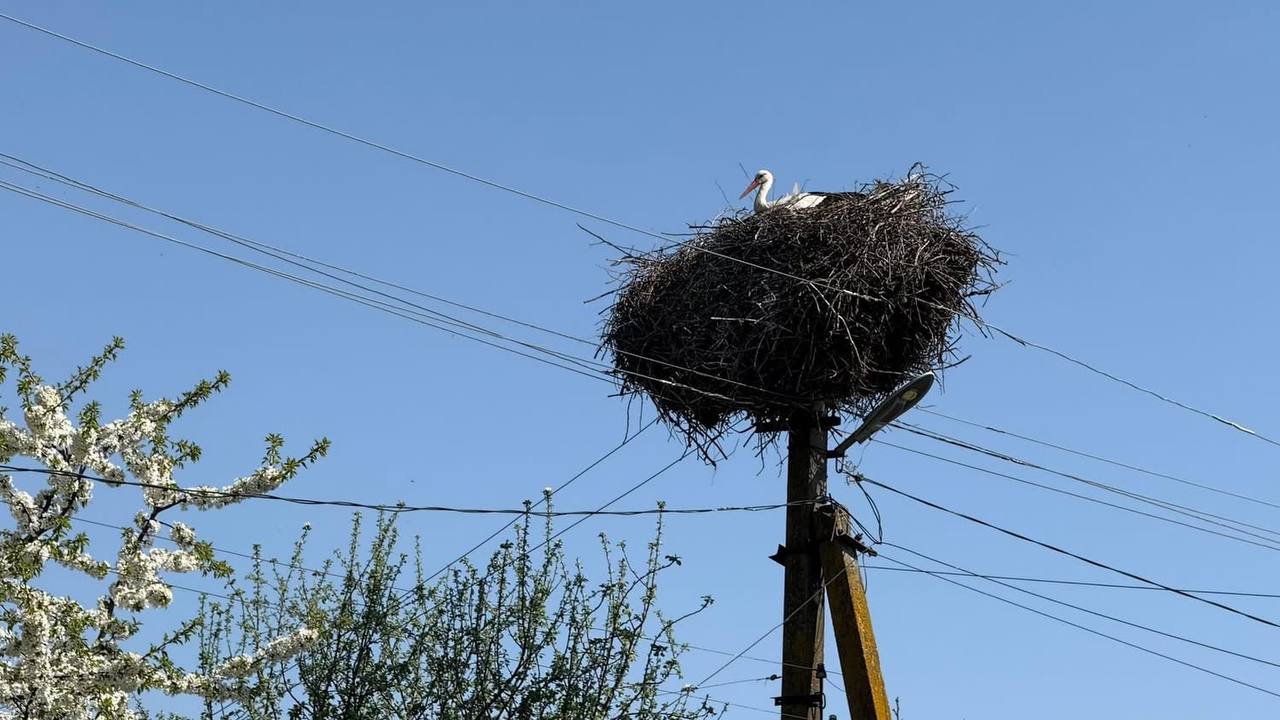 На Бучанщині пошкоджено 43 об’єкти через атаку росіян - фото 2