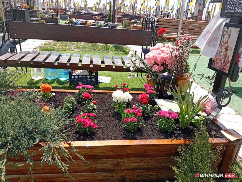 «Я пообіцяла, що тут завжди будуть живі квіти»: репортаж з Алеї Слави у Вінниці - фото 6