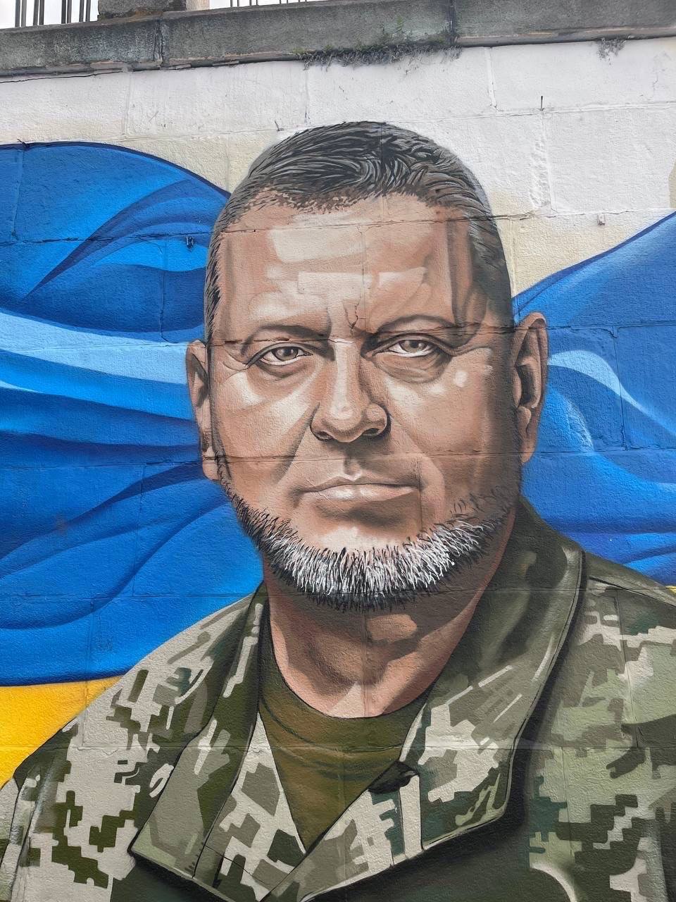 У Києві створили мурал із генералом Залужним