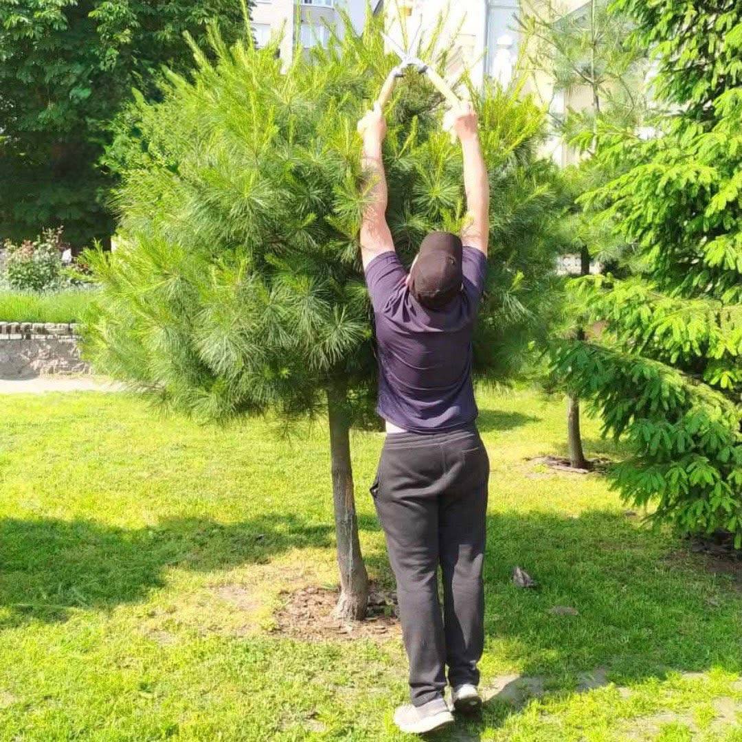 У Черкасах наводять лад у парках та скверах - фото 2