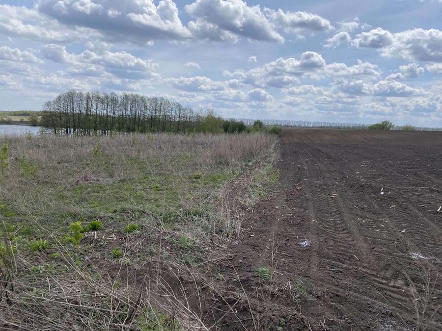 Розорані прибережні смуги біля озер виявили у громаді на Вінниччині - фото 2