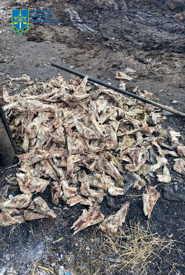 На Вінниччині керівник філії з спільниками «закидали» залишками тварин 2 гектари землі - фото 6