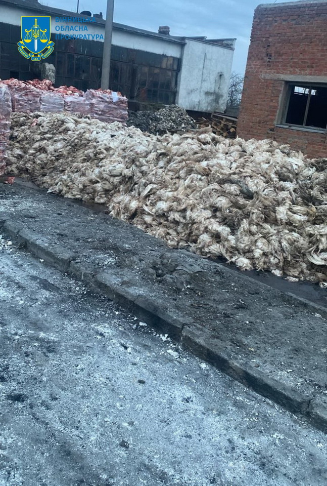 На Вінниччині керівник філії з спільниками «закидали» залишками тварин 2 гектари землі - фото 4