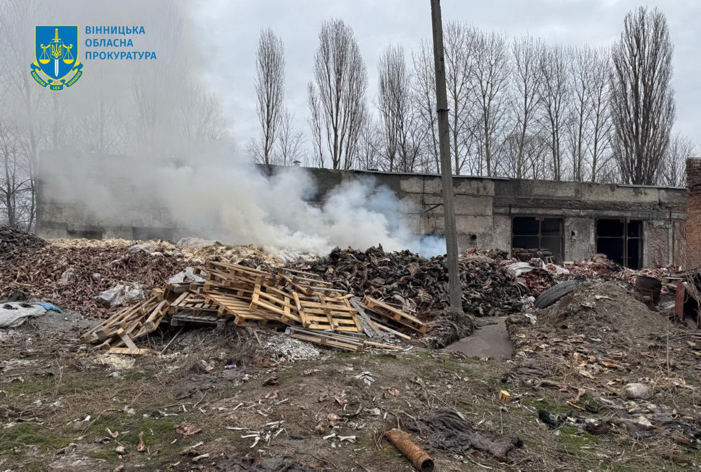 На Вінниччині керівник філії з спільниками «закидали» залишками тварин 2 гектари землі - фото 5