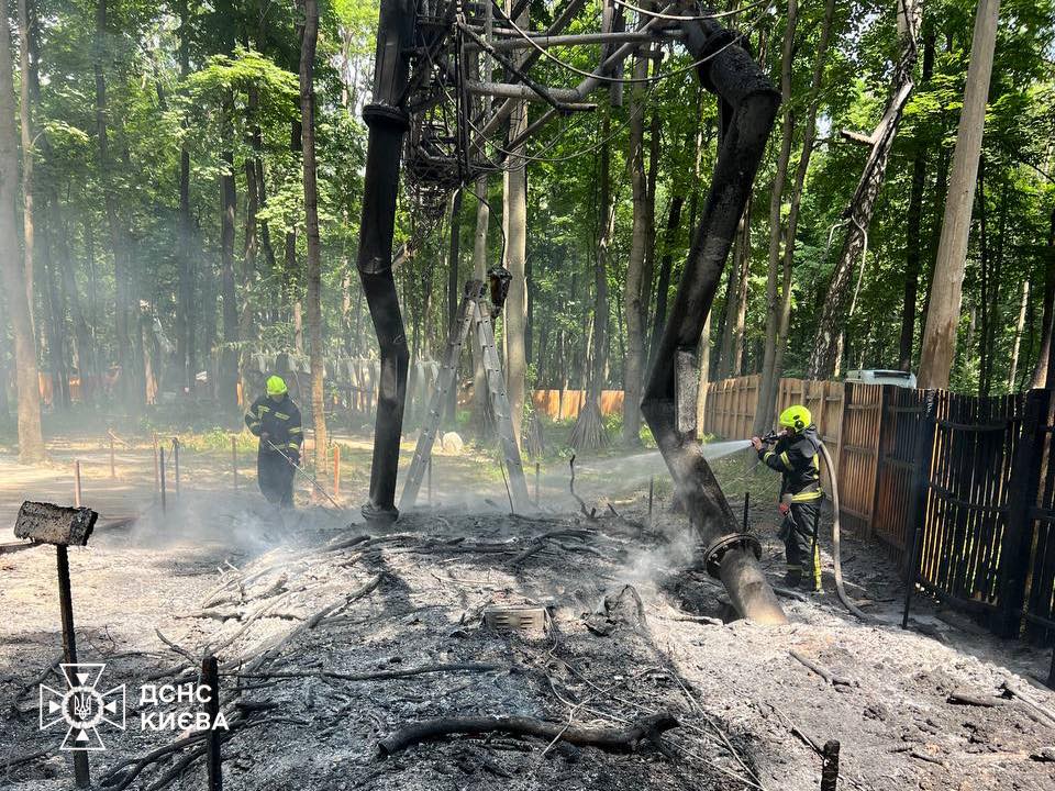 У Києві горів парк з динозаврами