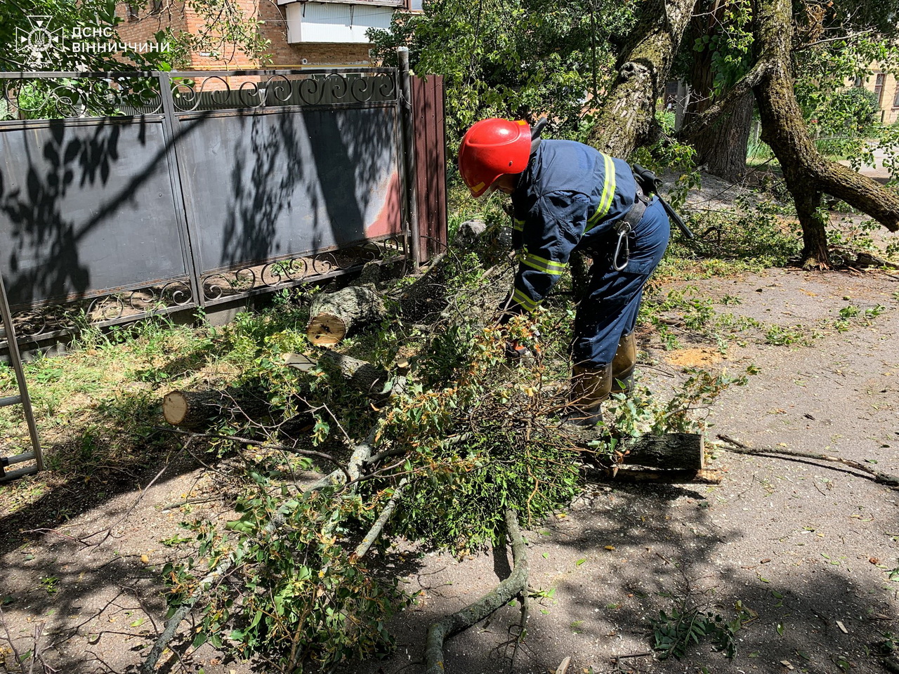 Сильний вітер валив дерева на Вінниччині: рятувальники працювали у п’яти громадах - фото 2