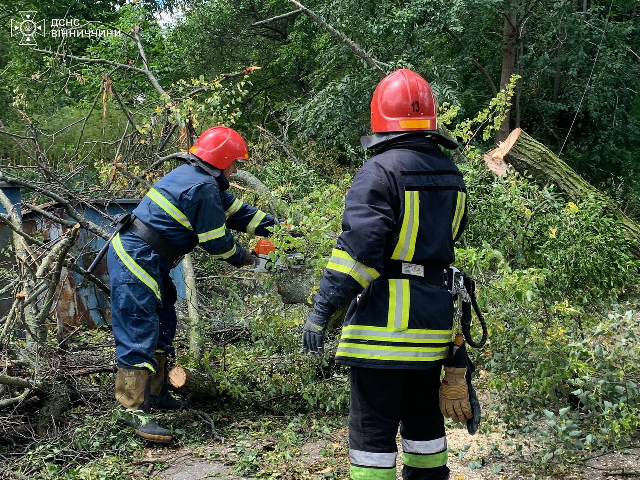 Сильний вітер валив дерева на Вінниччині: рятувальники працювали у п’яти громадах - фото 5