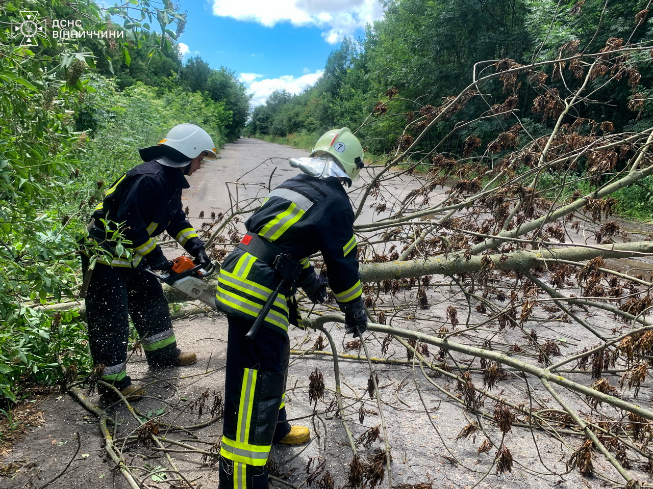 Сильний вітер валив дерева на Вінниччині: рятувальники працювали у п’яти громадах - фото 6