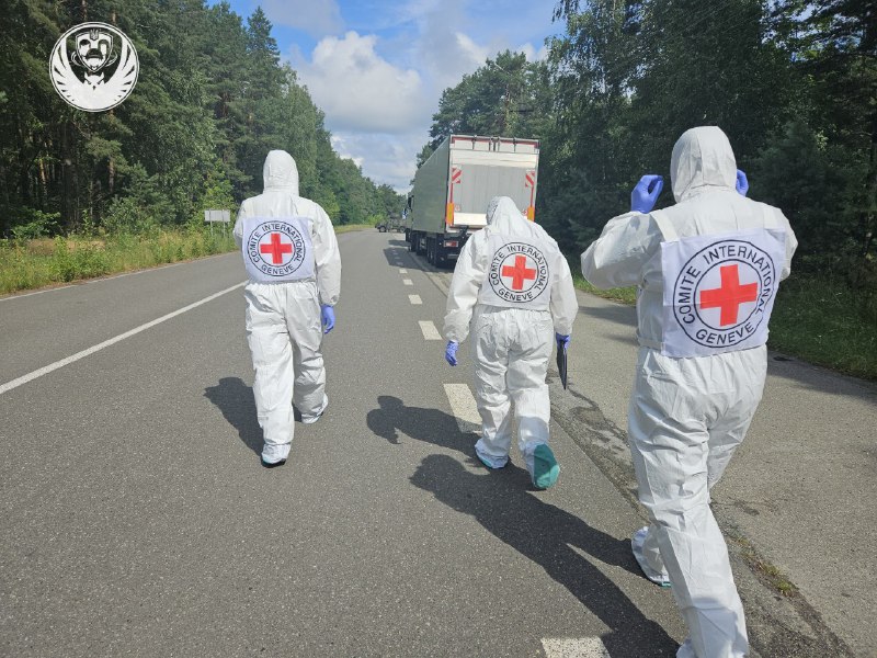 Тисячу тіл загиблих військових повернули в Україну