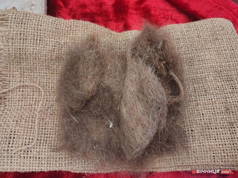 «Корабель, що пливе у залізну гавань»: що спільне з Ейфелевою вежею має козятинський вокзал - фото 5