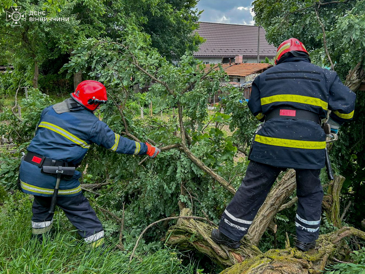 На Вінниччині через вітер дерева падали на дахи будинків та перекрили дороги - фото 3