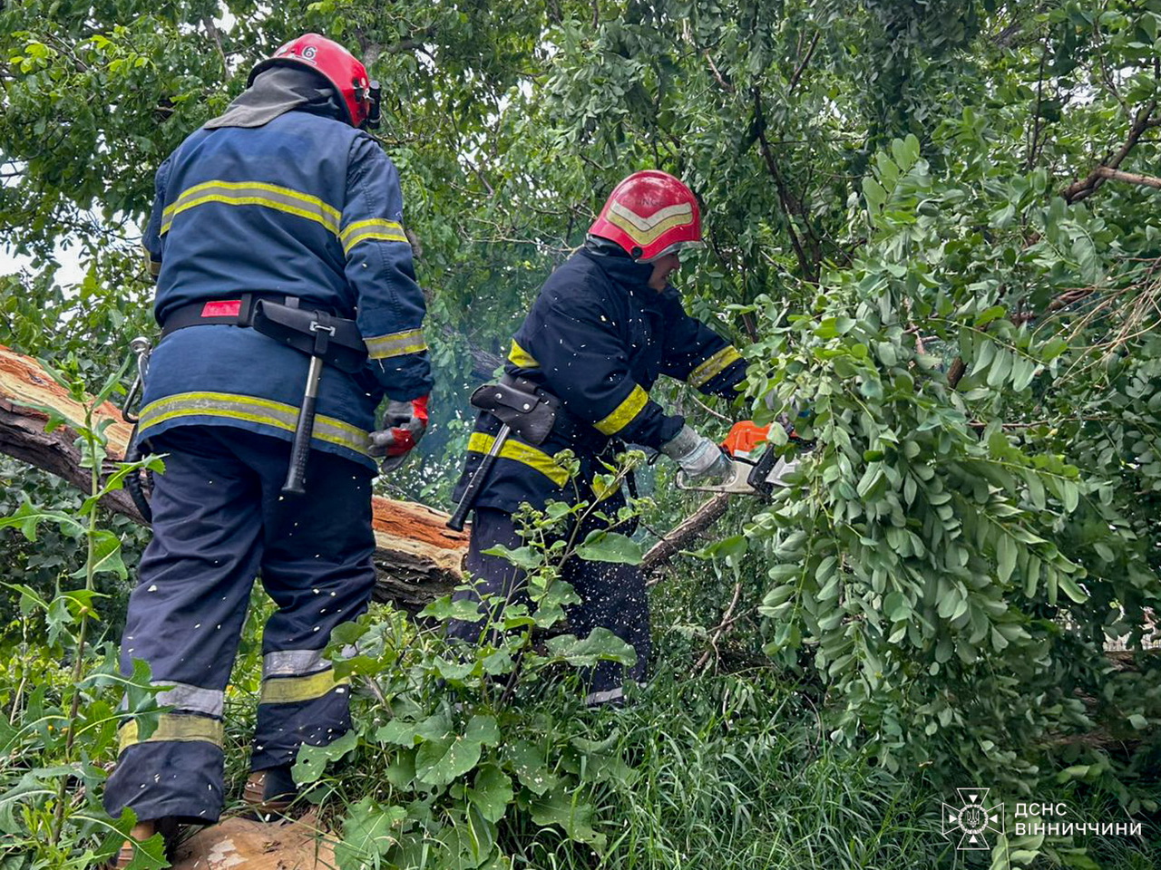 На Вінниччині через вітер дерева падали на дахи будинків та перекрили дороги - фото 6