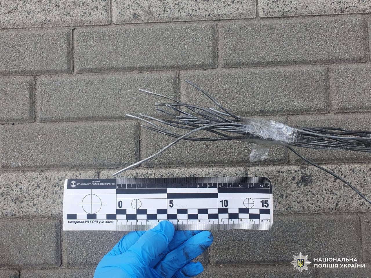 У Києві через смертельну аварію на канатній переправі судитимуть п’ятьох осіб