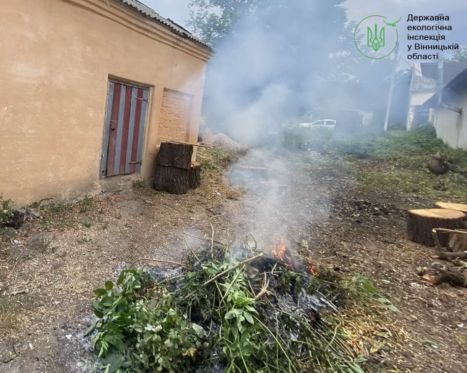 На Вінниччині чоловік палив листя на території дитячого садочку