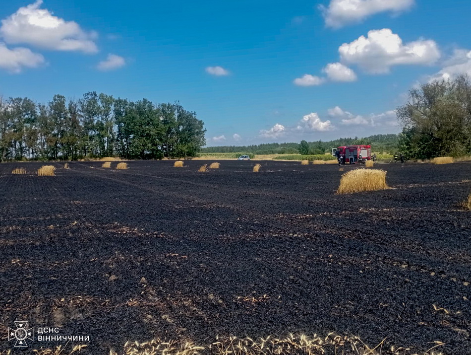 На Вінниччині горіло пшеничне поле, знищено 2 га врожаю
