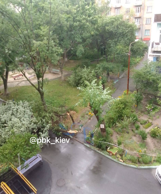 У Києві вирує негода - фото 5