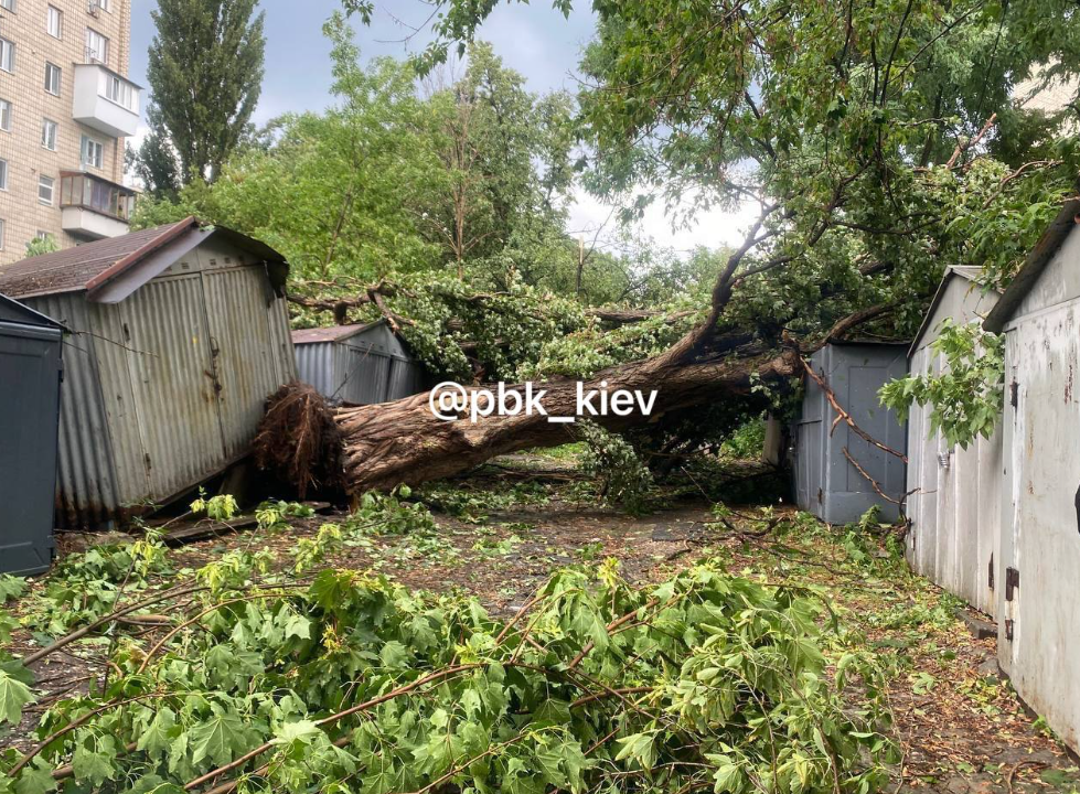 У Києві вирує негода - фото 4