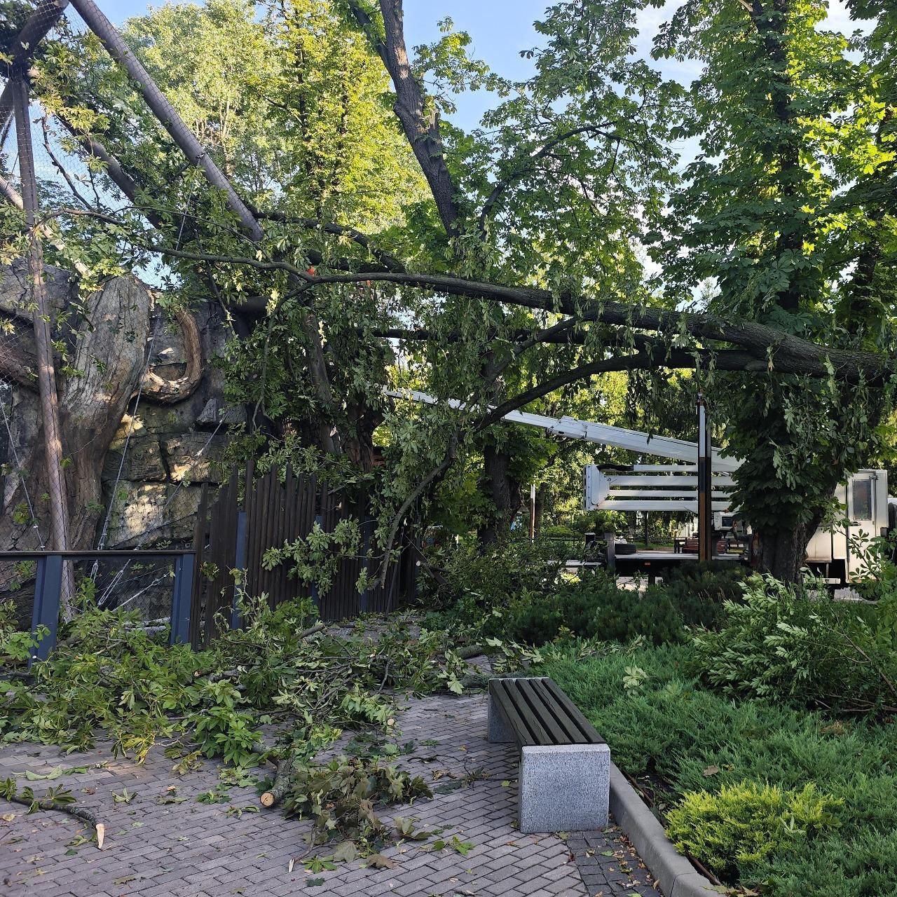 У КиївЗоо продовжують усувати наслідки негоди - фото 3
