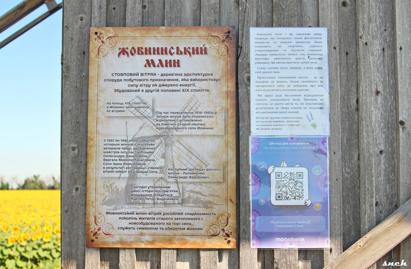 Історичний вітряк на Черкащині, серед соняхів і лаванди, відзняли з неба. Фото - фото 5