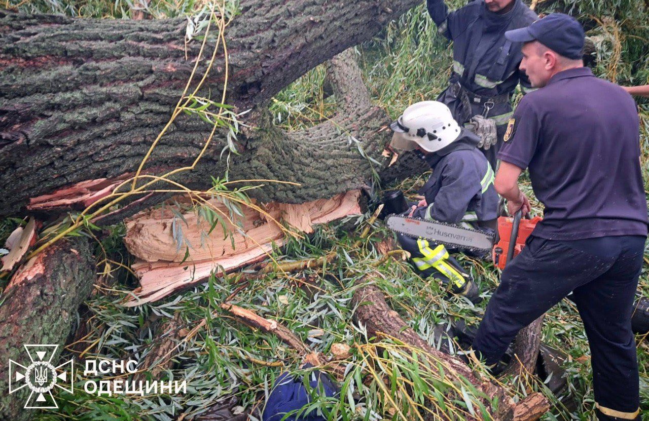 Дитина загинула через падіння дерева на намет в Одеській області
