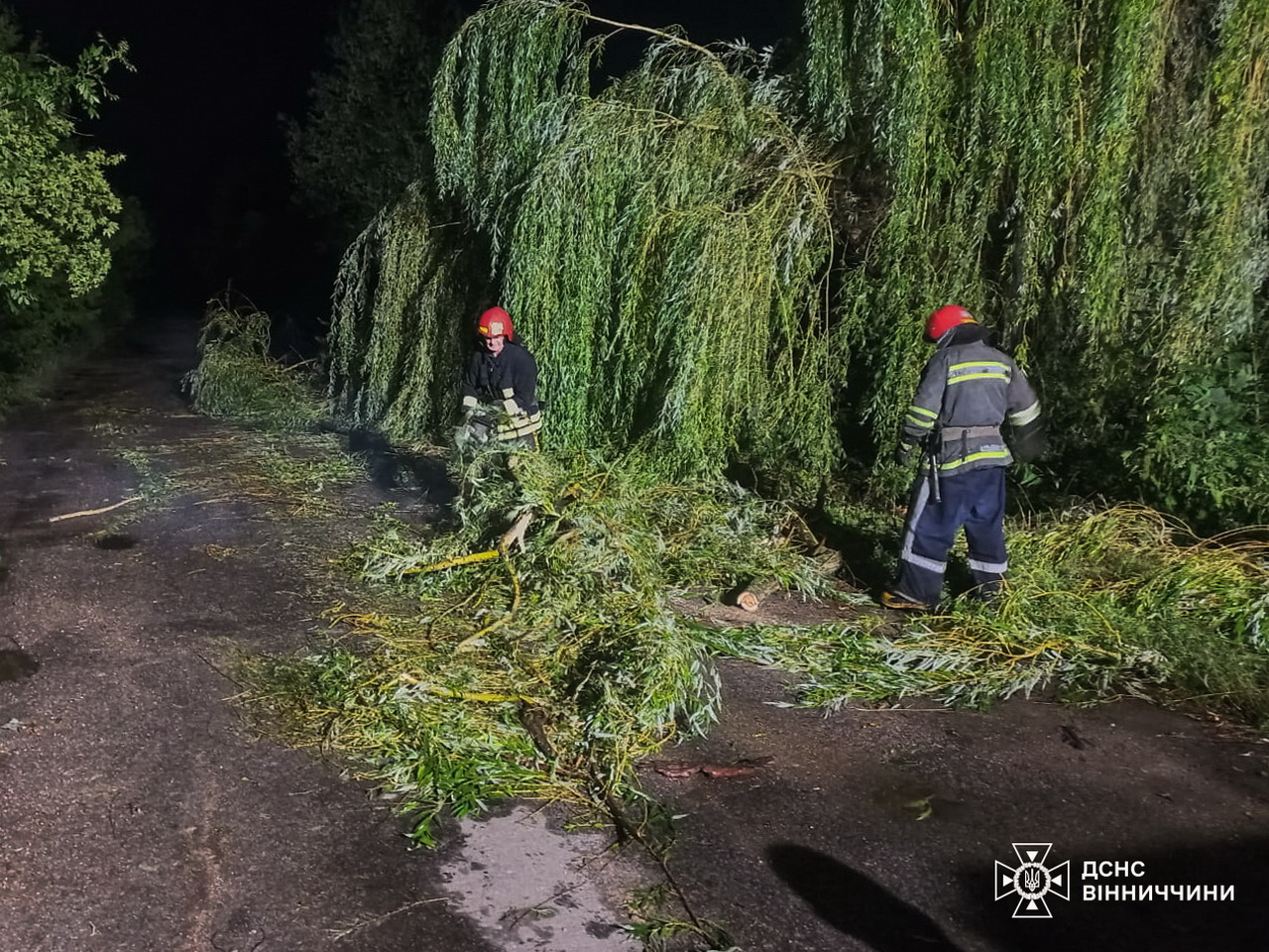 Підтоплені хати, зірвані дахи та повалені дерева: наслідки негоди на Вінниччині